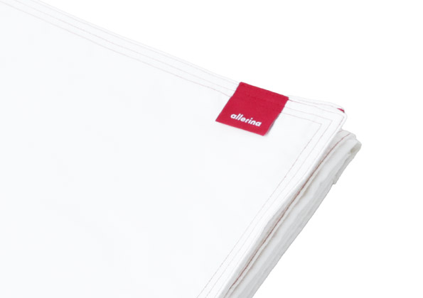 敷ふとん イメージ