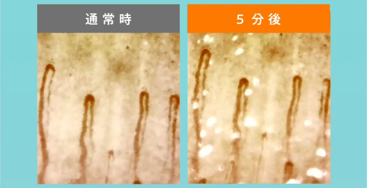 イメージgif