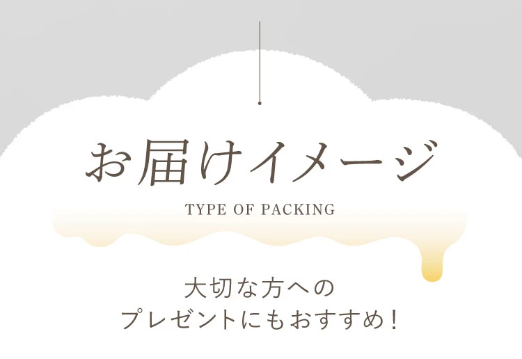 お届けイメージ