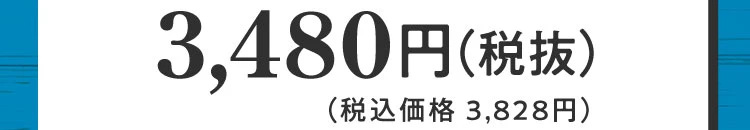 単品価格