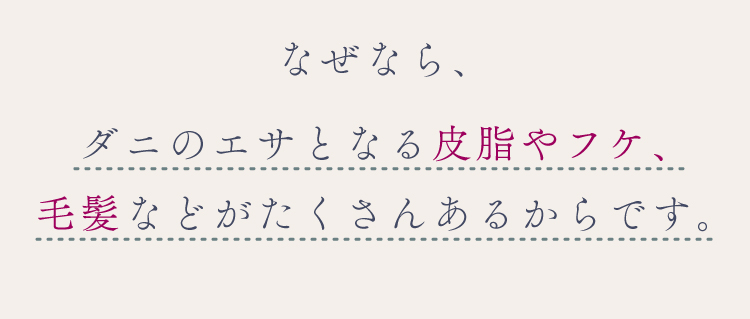 なぜなら、ダニのエサとなる皮脂やフケ、毛髪などがたくさんあるからです。