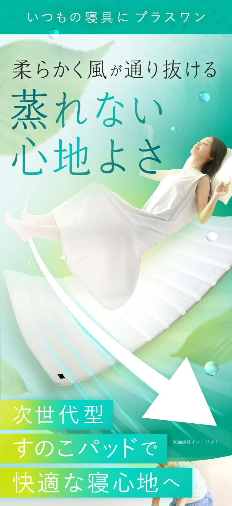 ファイバーすのこパッド・Sシングル | Nelture