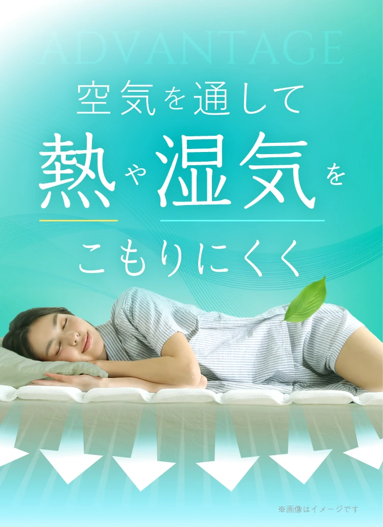 公式】ファイバーすのこパッド・Sシングル | 快眠専門サイトNelture