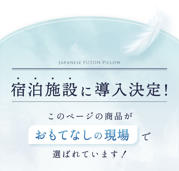 公式】ふとんでまくら PREMIUM 満(ミチル) | 快眠専門サイトNelture