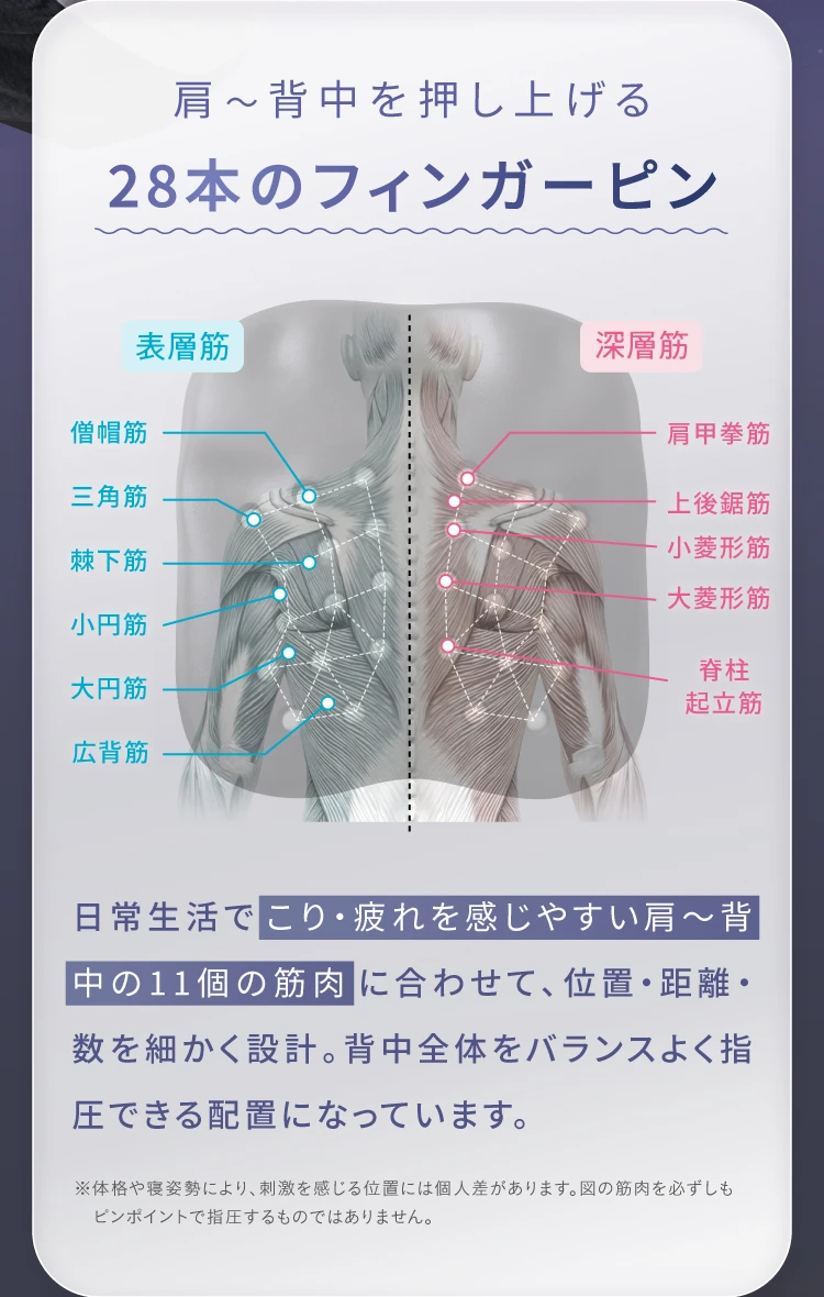 肩～背中を押し上げる28本のフィンガーピン