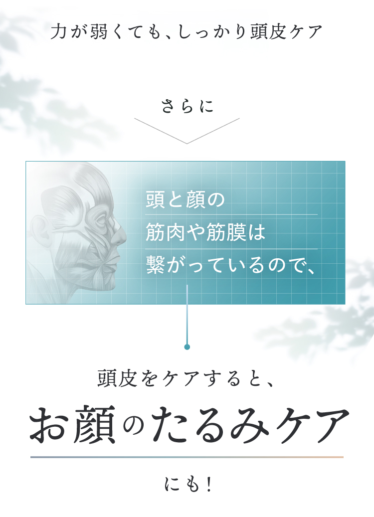 頭皮をケアすると、お顔のたるみケアにも！