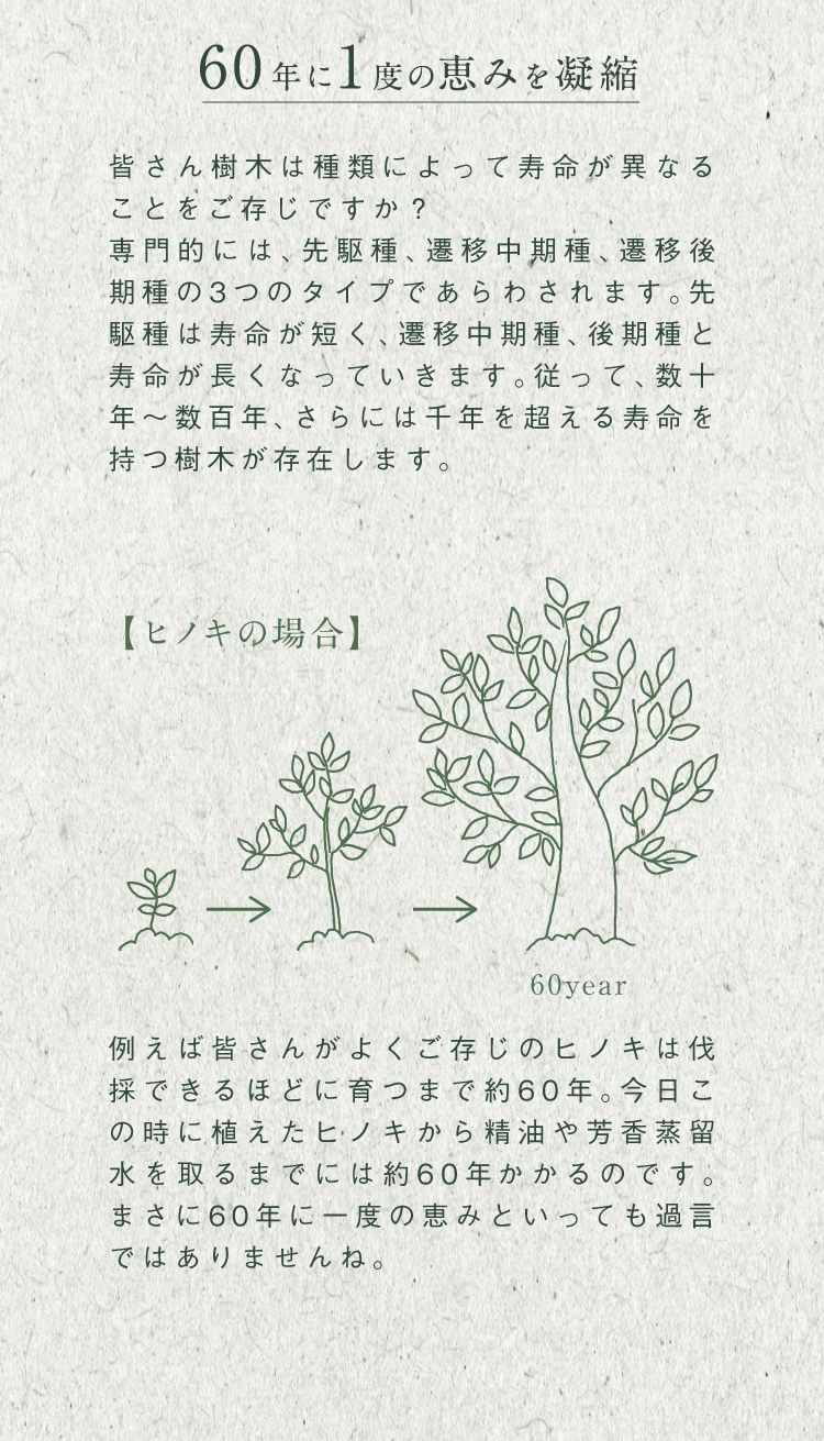 60年に1度の恵みを凝縮