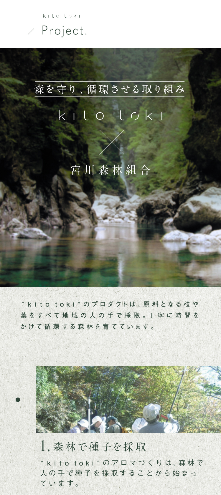 森を守り、循環させる取り組み