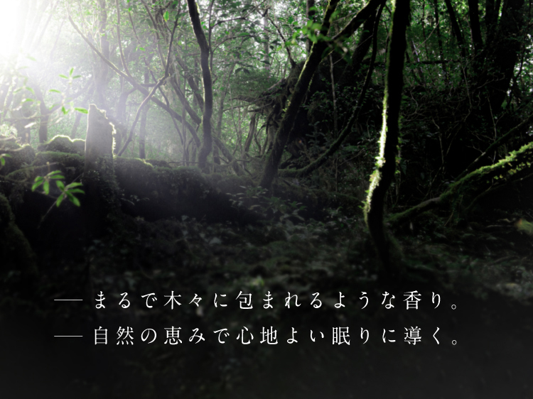 まるで木々に包まれるような香り。