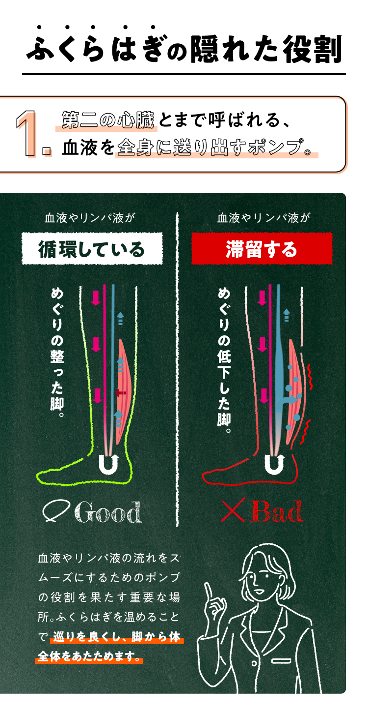 ふくらはぎの隠れた役割