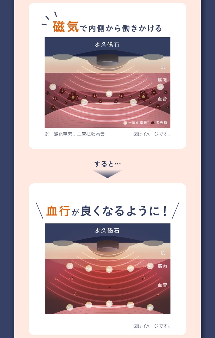 磁気で内側から働きかけるすると…血行が良くなるように！