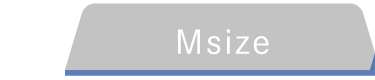Msize
