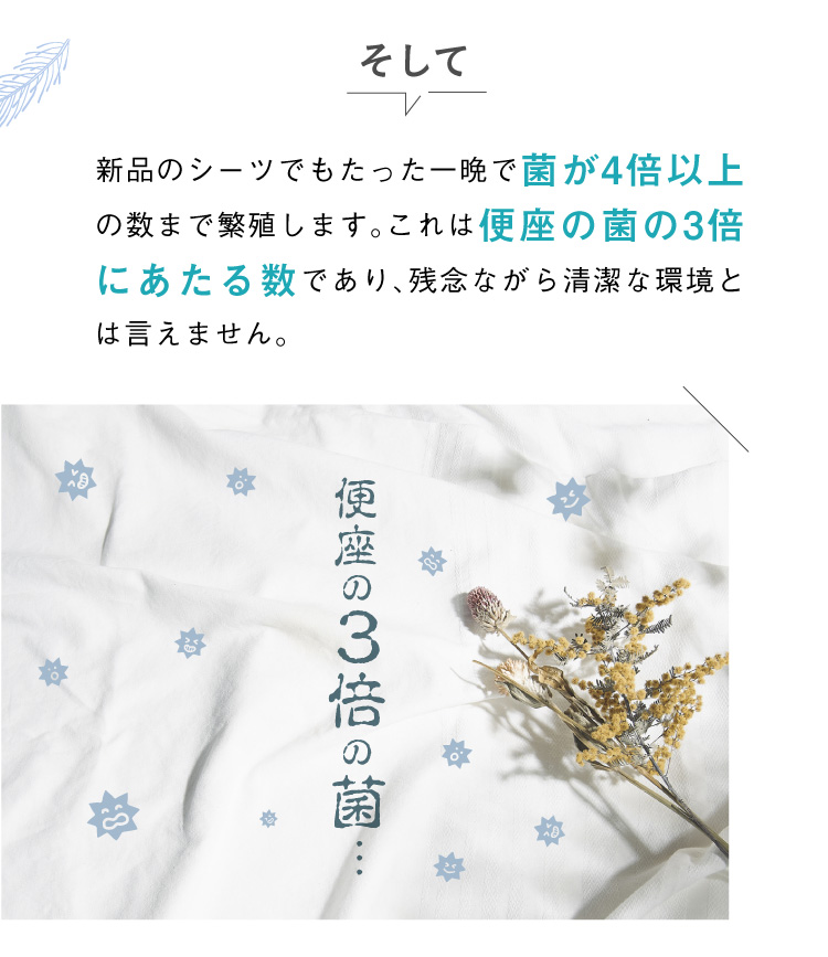 新品のシーツでもたった一晩で菌が4倍以上の数まで繁殖します。これは便座の菌の3倍にあたる数であり、残念ながら清潔な環境とは言えません。