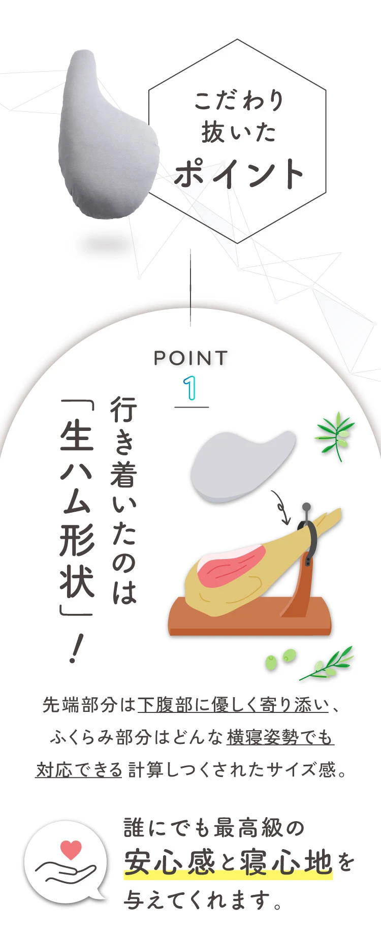 行きついたのは「生ハム形状」