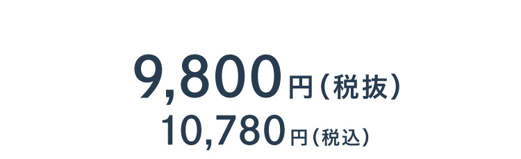 癒し肩まくら 商品価格