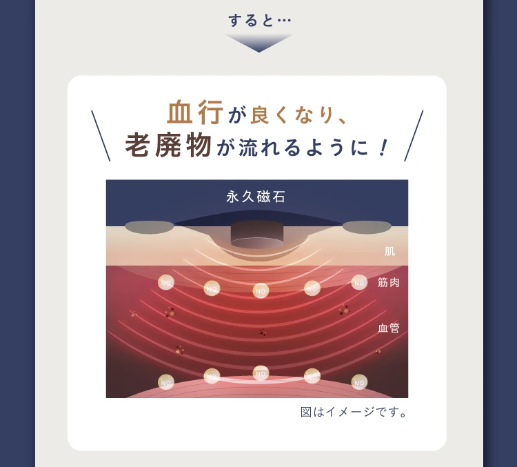 血行が良くなり、老廃物が流れるように！