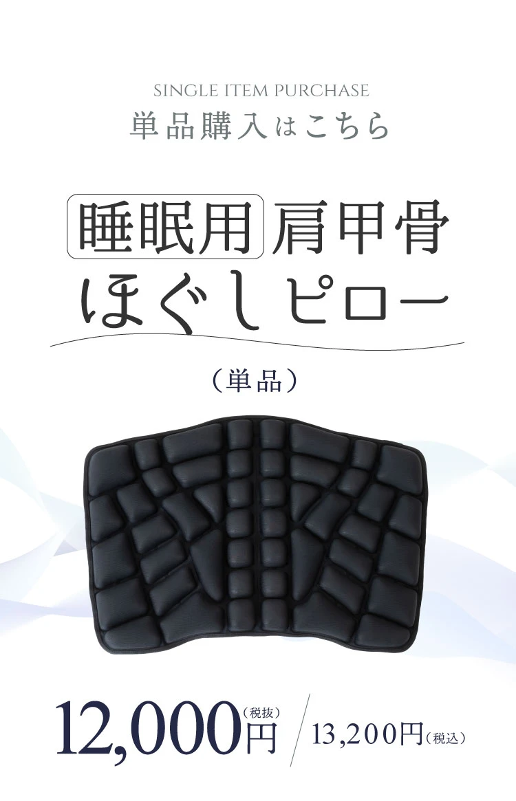 単品購入はこちら