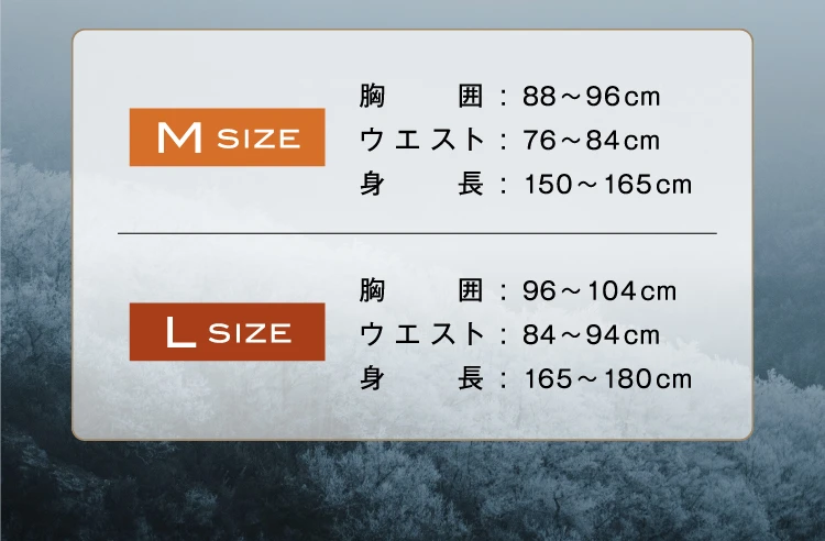 サイズ表