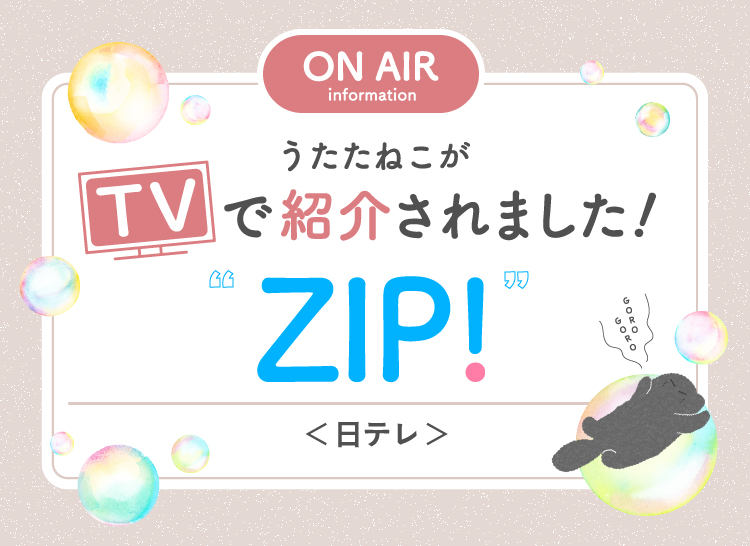 うたたねこがTVで紹介されました！