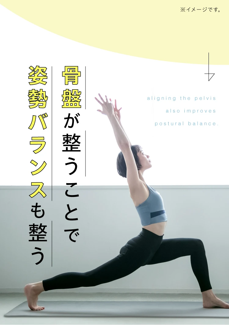 ヨガバランス開脚チェア(カバー付き) Circle balance(サークルバランス