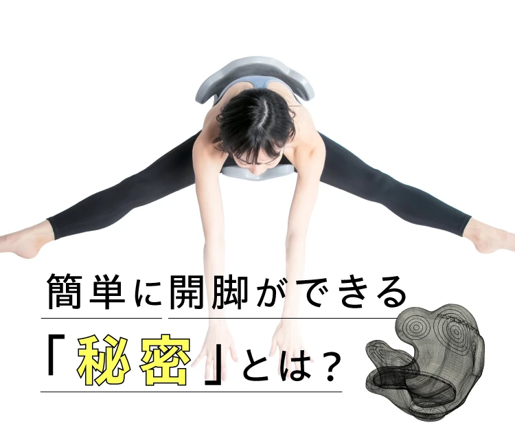 ヨガバランス開脚チェア(カバー付き) Circle balance(サークルバランス