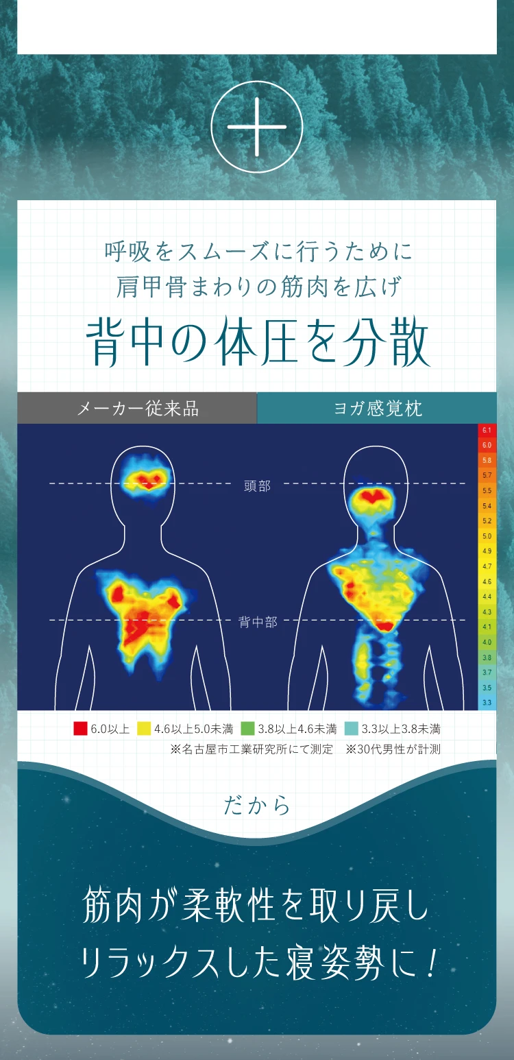 呼吸をスムーズに行うために肩甲骨まわりの筋肉を広げ背中の体圧を分散